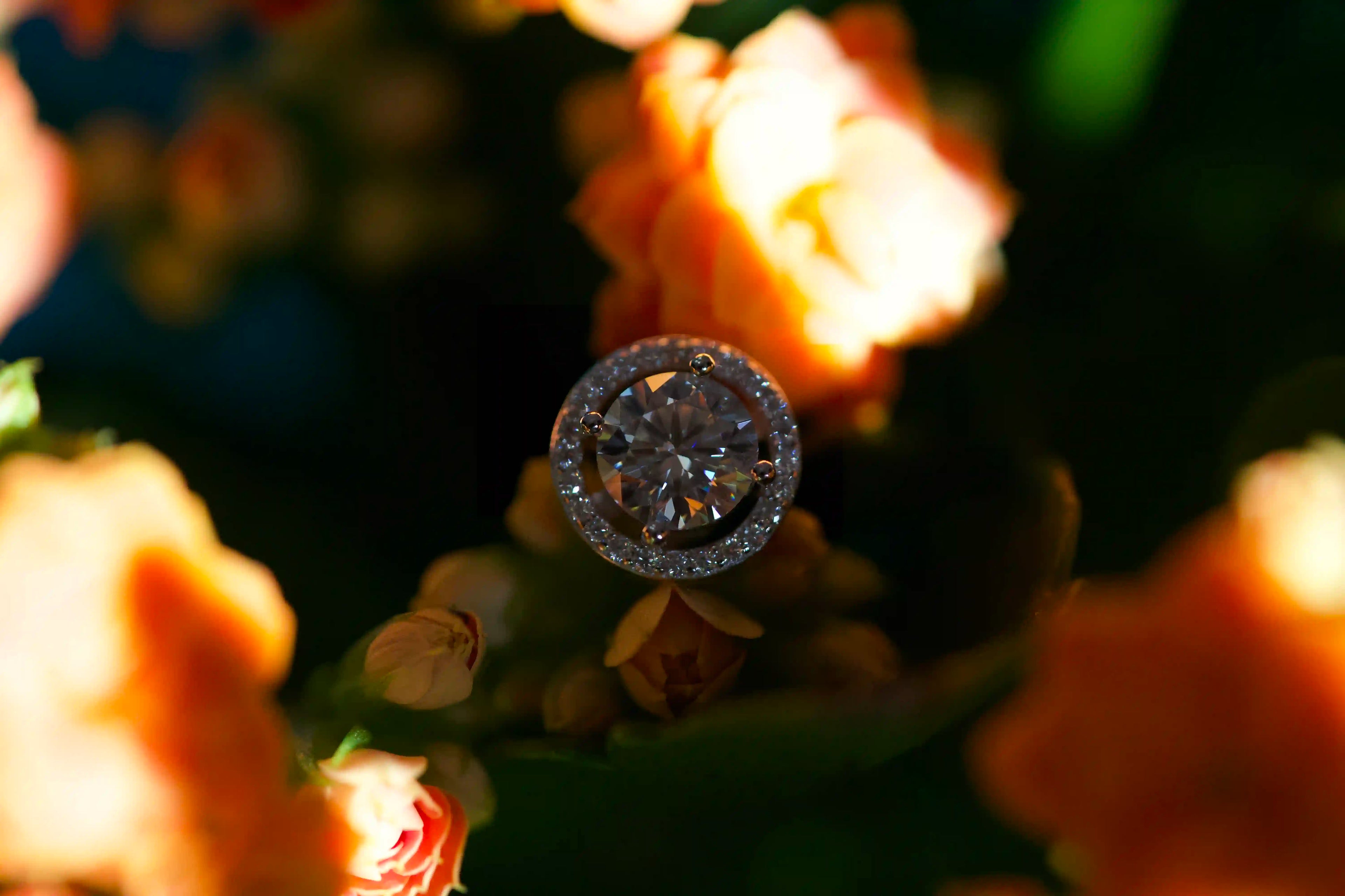 Klassischer Moissanite Schmuck mit einem Halo von Zirkonia Steinen um den 1ct Moissanite Stein herum