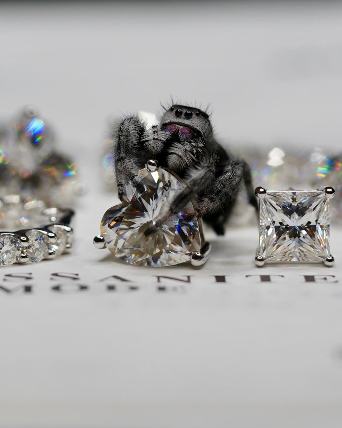 Moissanite Schmuck Ohrringe mit Spring Spinne auf dem Moissanite Herz Ohrring
