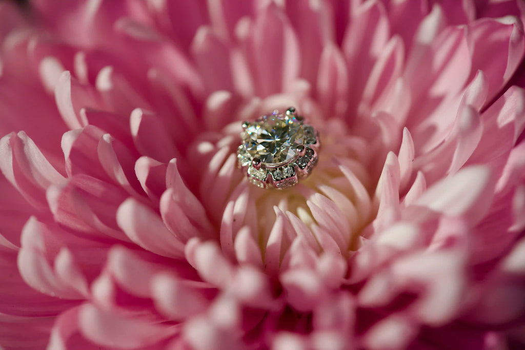 Stark funkelnde Moissanite Ohrstecker im Blüten-Design im echten Licht fotografiert – 925 Silber und 18K Weißgold veredelt mit intensivem Funkeln ähnlich Diamantschmuck.