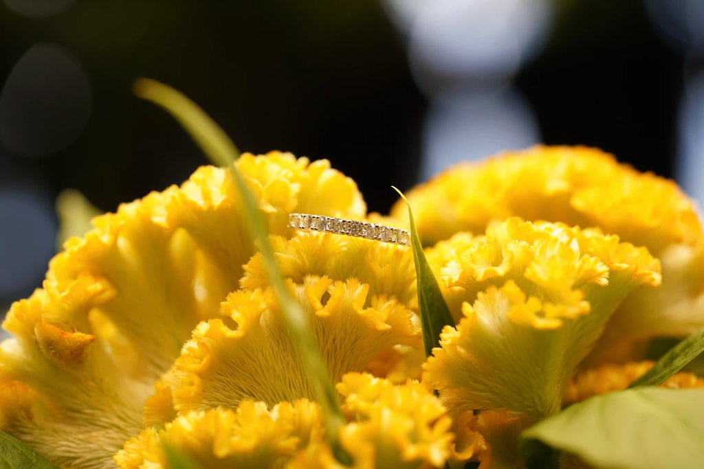 Moissanite Schmuck aus Sterling Silber mit Moissanite Schmuck Steinen auf der oberen Seite und veredelt mit Weißgold