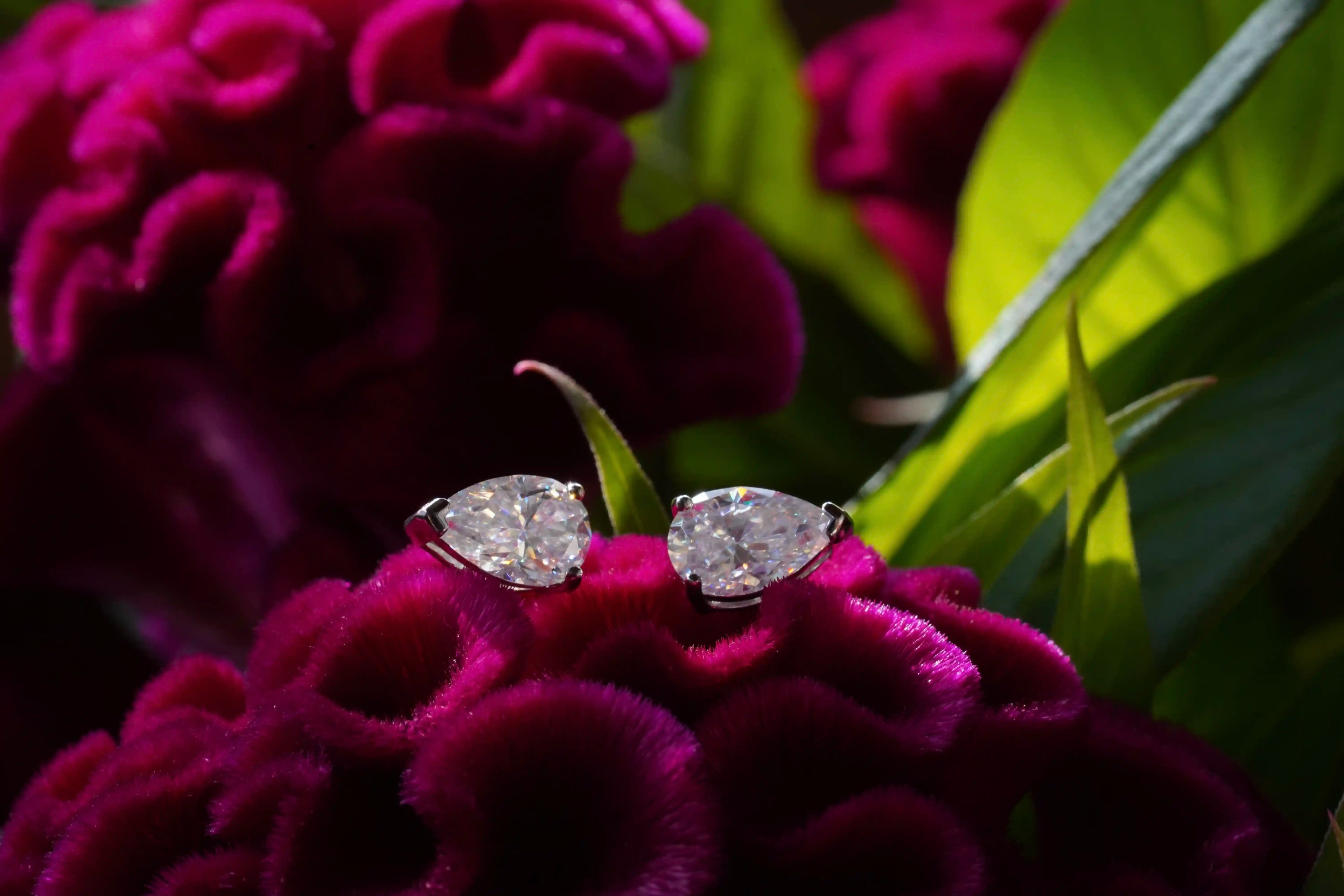 Moissanite Schmuck Ohrstecker im Tropfen design aus Sterling Silber auf einer Blume