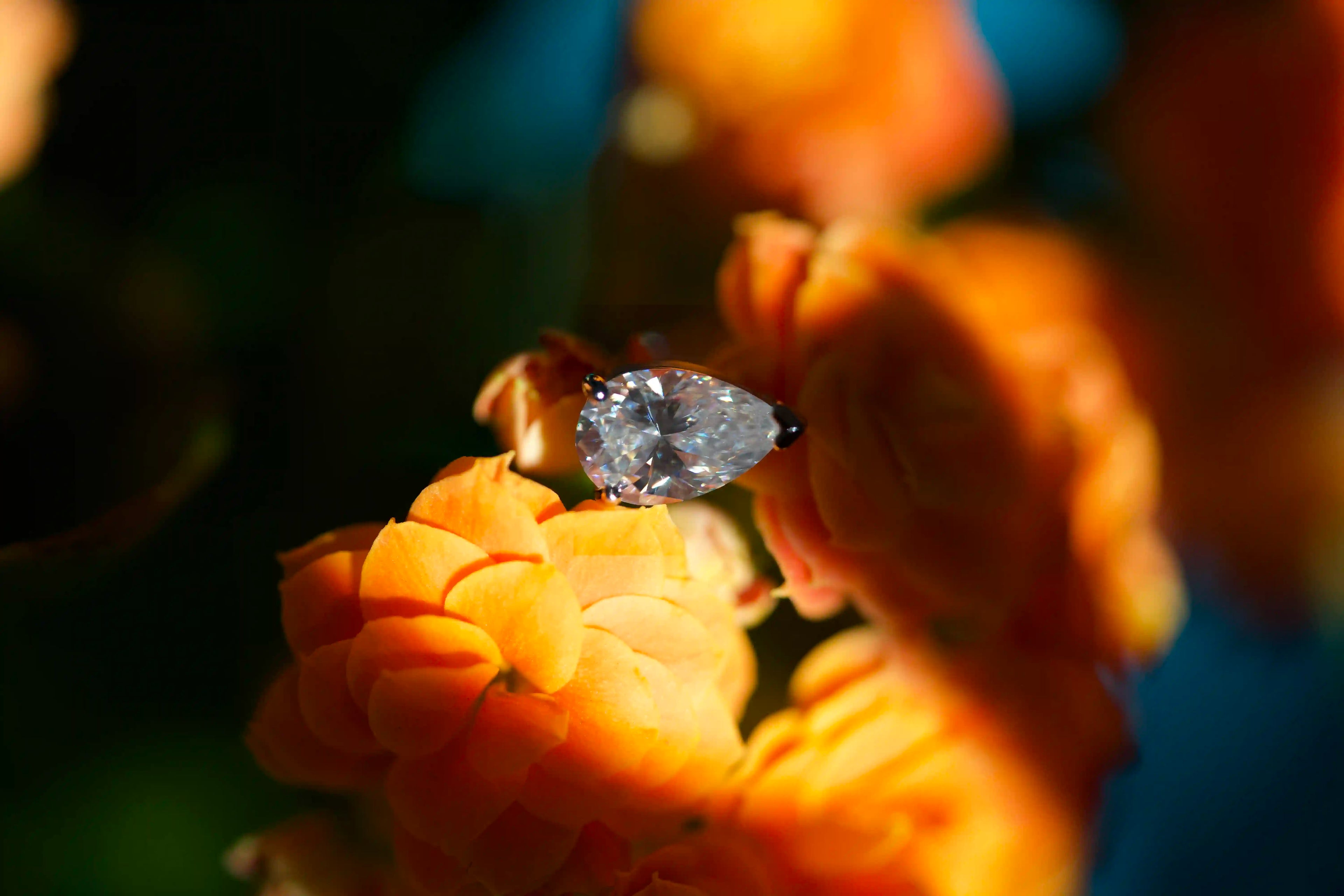 Elegante Moissanite Ohrringe im Tropfen-Schliff gefasst in 925 Sterling Silber auf einer Blume abgelegt