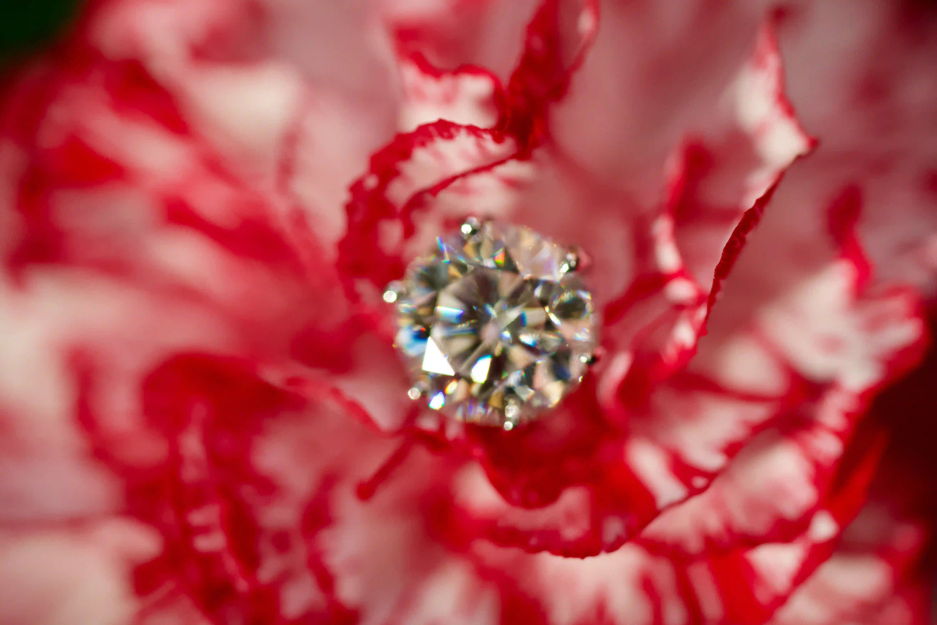 Unscharfe echte Fotos von Moissanite Ohrsteckern mit Brillantschliff im echten Licht. Funkelt stärker als Diamanten, mit diamantähnlicher Härte robust im Alltag und mit sicherem Schraubverschluss.