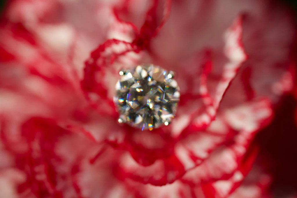 Unscharfe echte Fotos von runden Moissanite Ohrsteckern mit Brillantschliff auf roter Blume im echten Licht. Funkelt stärker als Diamanten und bleibt dank diamantähnlicher Härte langlebig im Alltag.