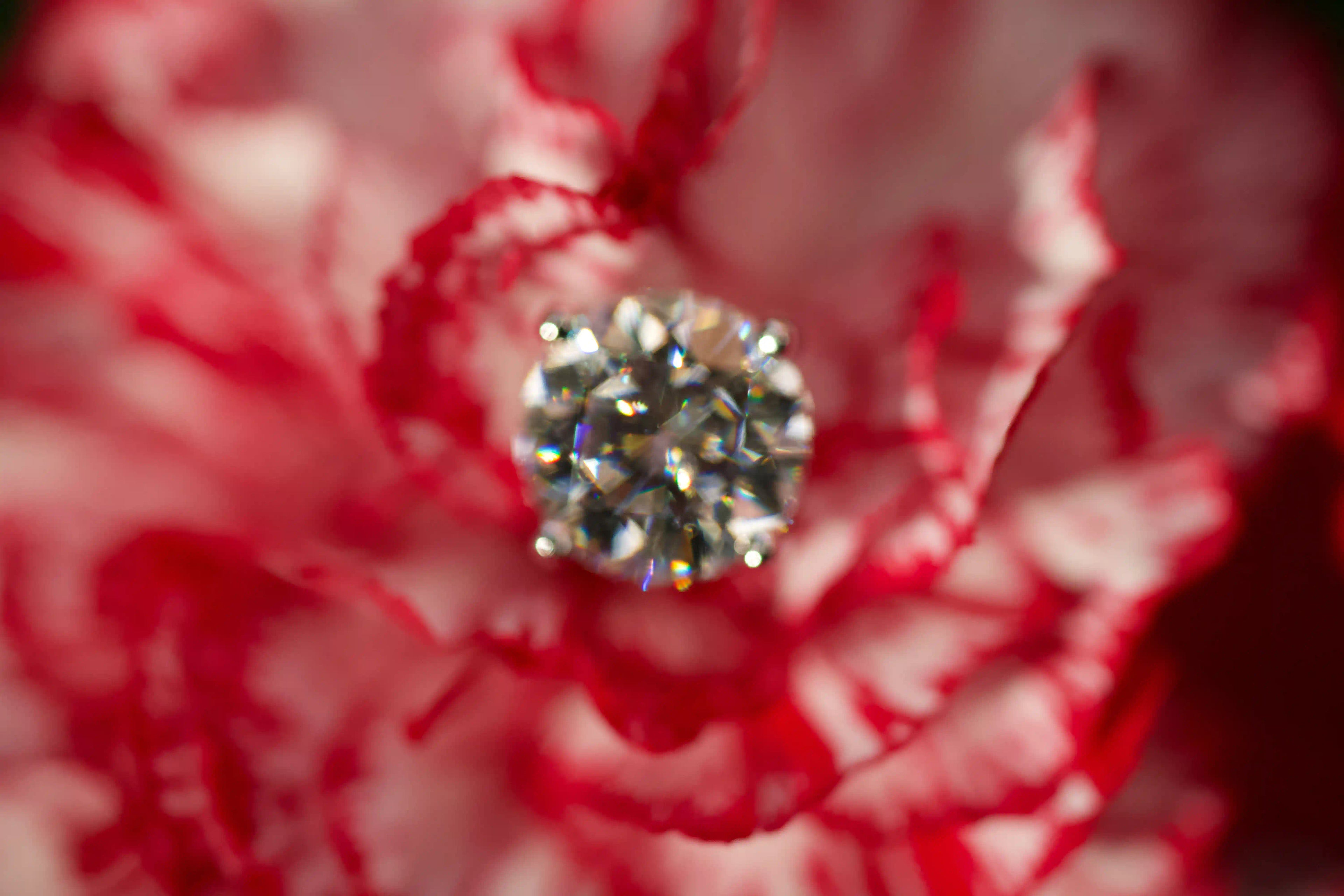 Unscharfe echte Fotos von runden Moissanite Ohrsteckern mit Brillantschliff auf roter Blume im echten Licht. Funkelt stärker als Diamanten und bleibt dank diamantähnlicher Härte langlebig im Alltag.