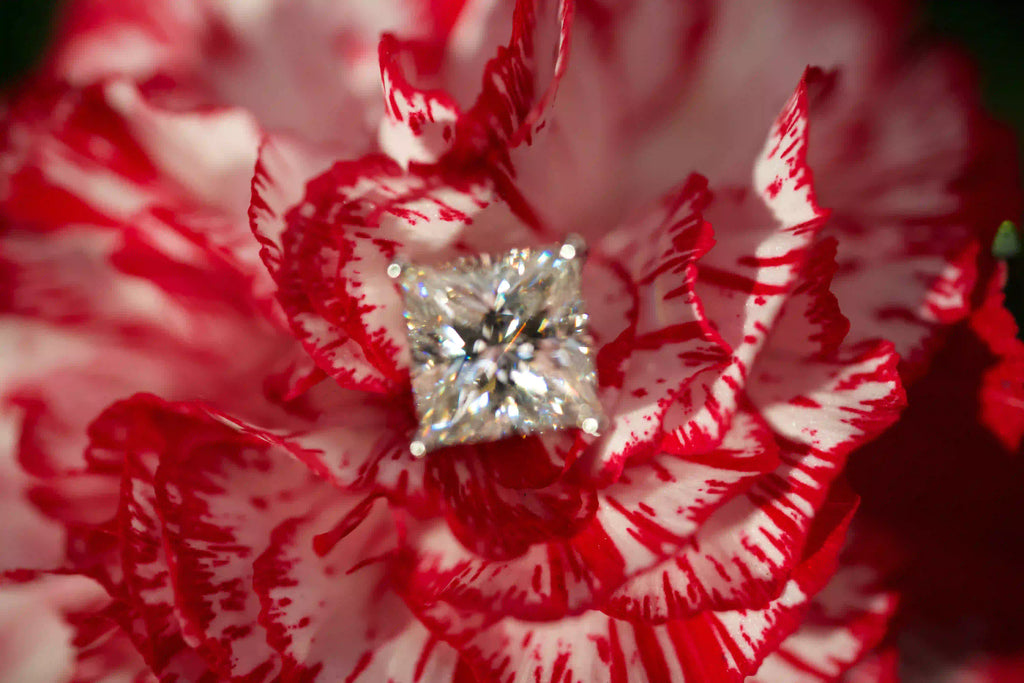Unscharfe echte Fotos von Princess Cut Moissanite Ohrsteckern mit Brillantschliff auf roter Blume im echten Licht. Stärkeres Funkeln als Diamanten und langlebig dank diamantähnlicher Härte.
