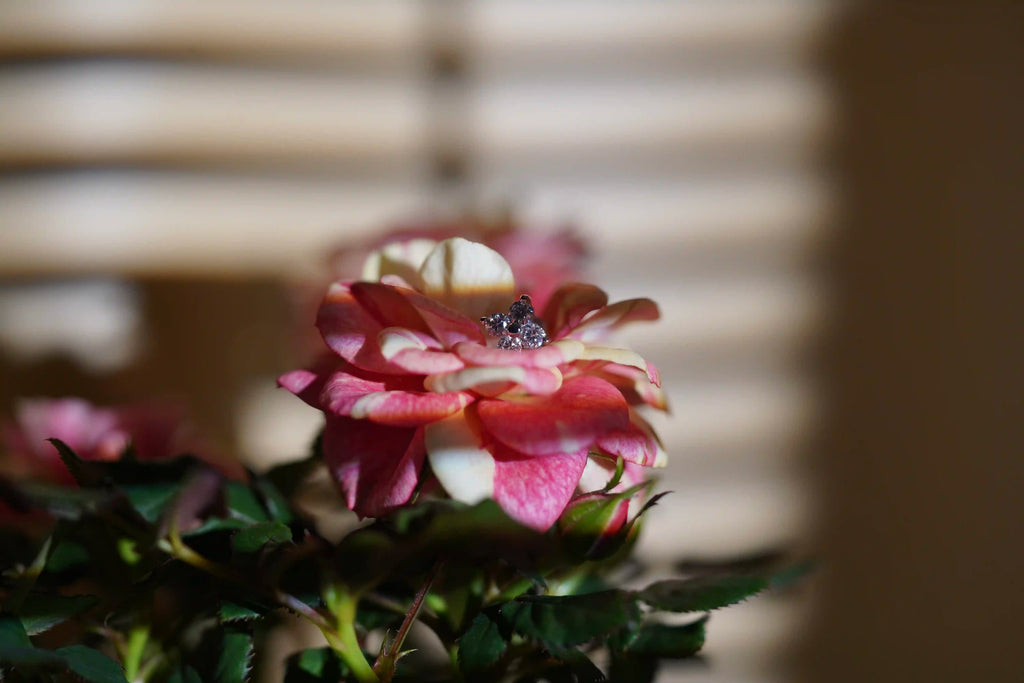 Hochwertige Moissanite Schmuck Ohrstecker mit Moissanite Steinen auf einer Blume abgelegt