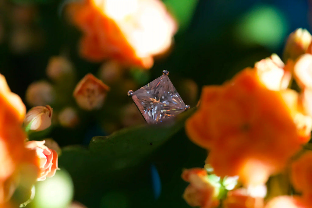 Stilvolle und zeitlose Moissanite schmuck Ohrringe im Princess Schliff gefasst in Sterling Silber